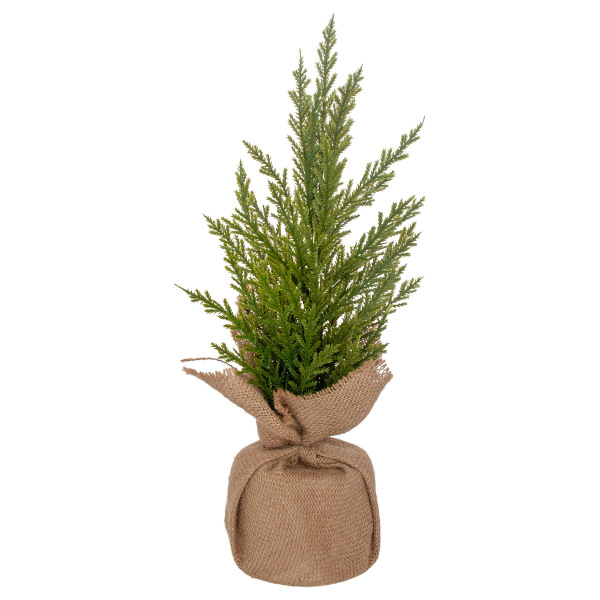 16.75" Tall Winter Fir Tree Christmas Décor