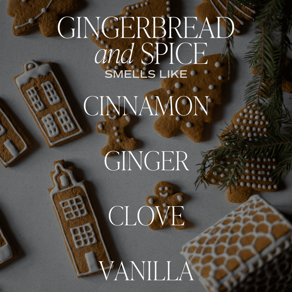 Gingerbread and Spice